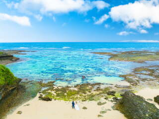 自然豊かなビーチで撮影