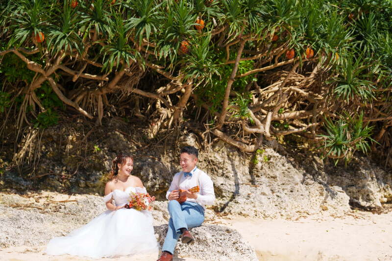 アダンの木の下で