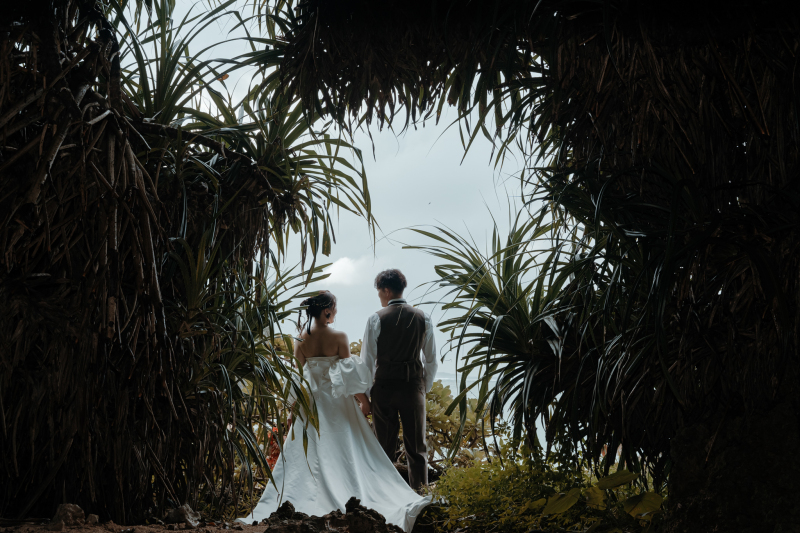 アダンの木の下