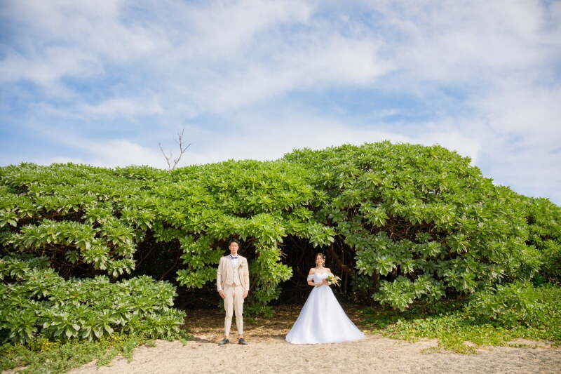 グリーンの木陰