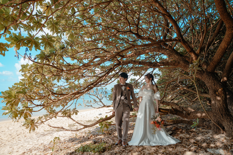 木漏れ日の下で、ひと休み