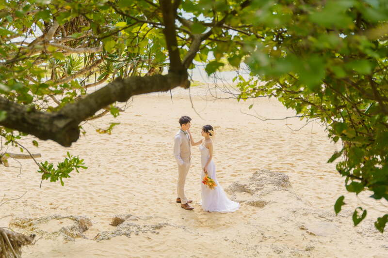 見つめ合いショット