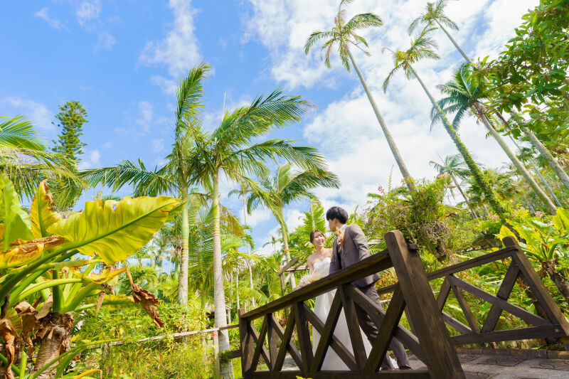 【南国植物園プラン】ロケ地1、100枚納品、衣装、ヘアメイク、撮影小物、装飾品、写真レタッチ付