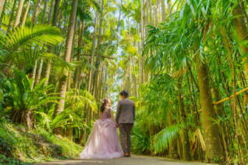 【南国植物園プラン】ロケ地1、100枚納品、衣装、ヘアメイク、撮影小物、装飾品、写真レタッチ付