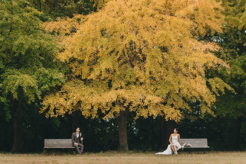 Atelier Nie by hibiyakadan_ペットと一緒に撮影できる