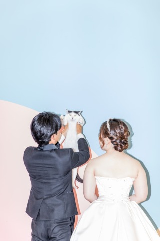 愛猫と残すベストショット