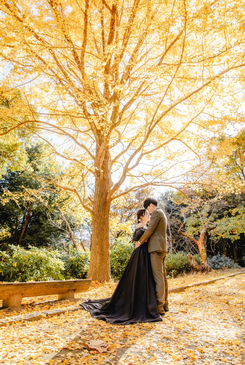 紅葉スタジオロケーション