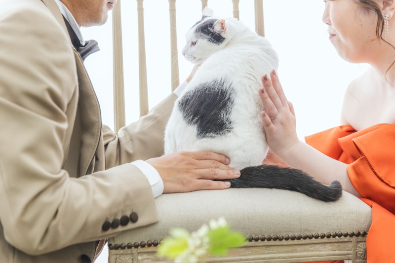 よく見ると、、、?