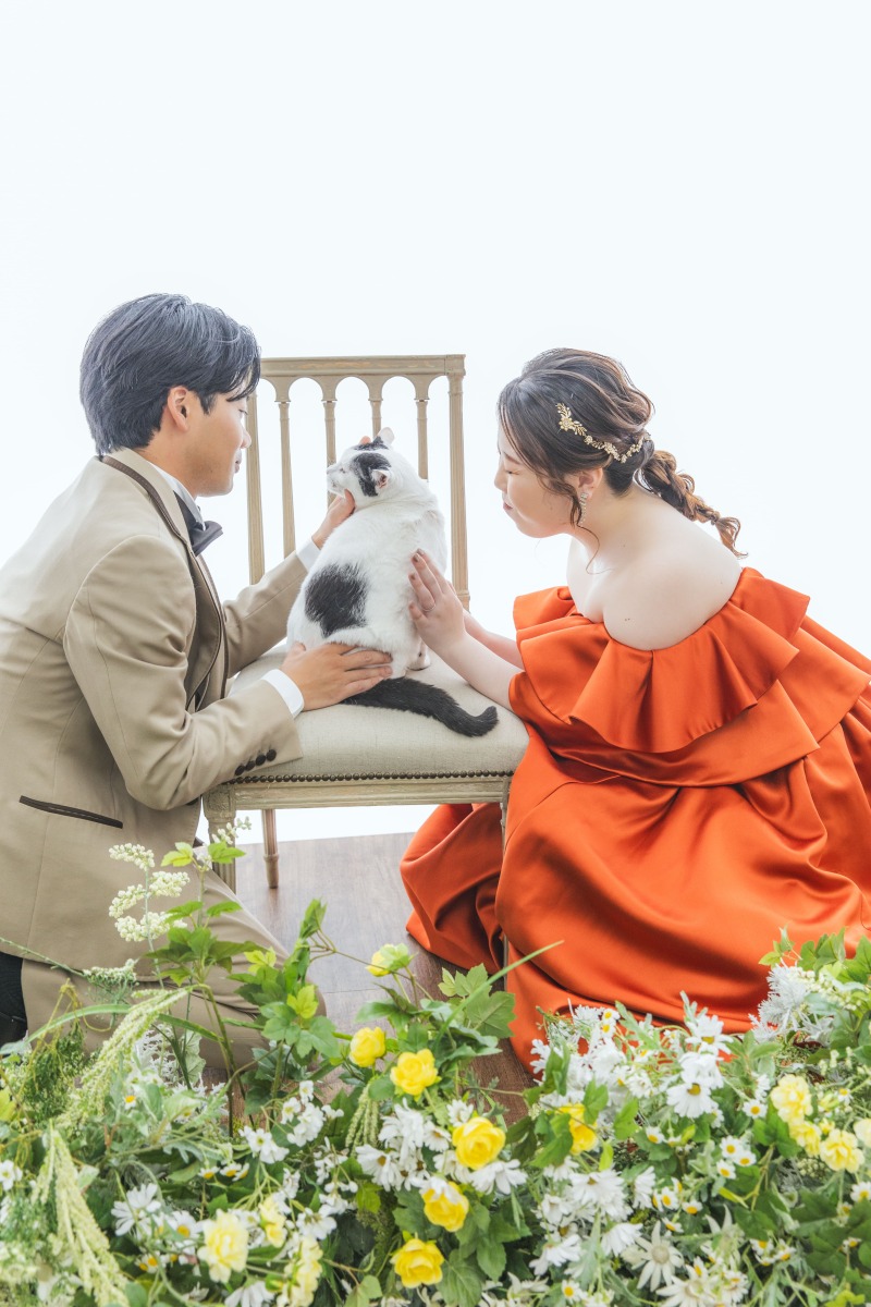 猫ちゃんのペースで