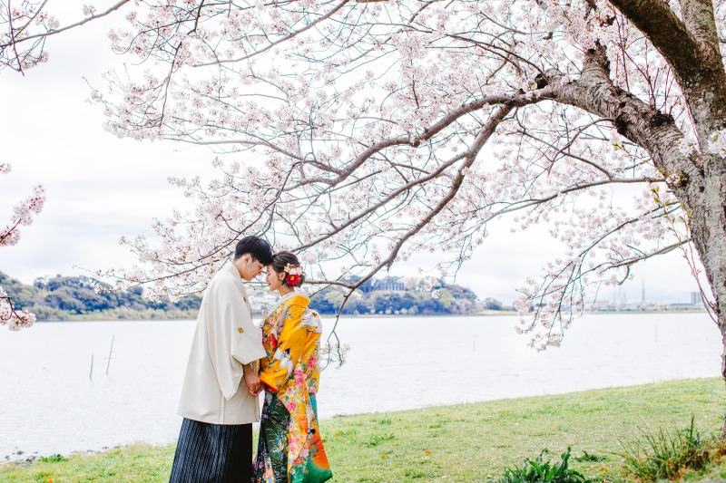 桜ロケーションフォト