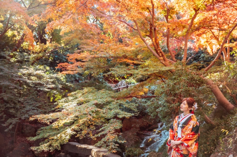 【早割！季節限定】紅葉ロケーション撮影、今なら衣裳選び放題＆全データもプレゼント♪