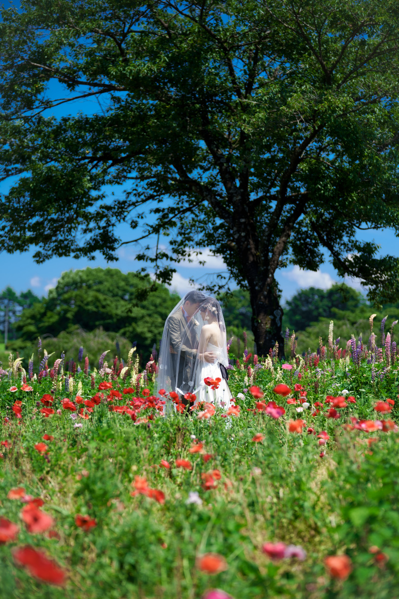 ベールにつつまれて・・・