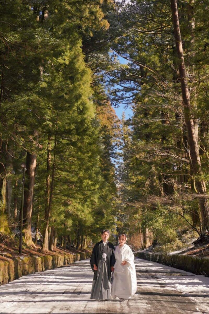 日光杉の中で…