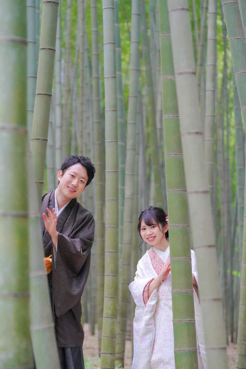 竹の間からひょっこり顔出し