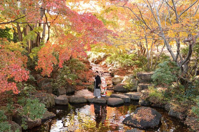 もみじに囲まれて