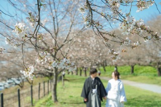 春ロケーション