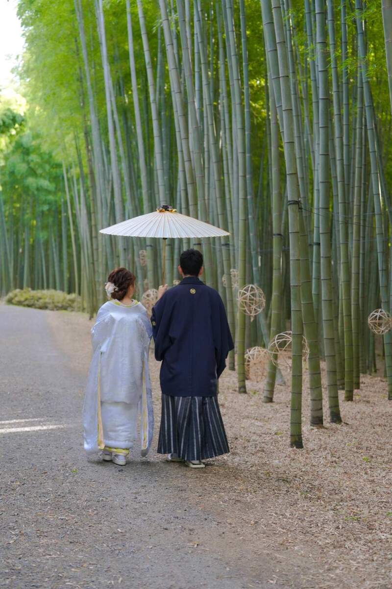 歩きながら自然に♪