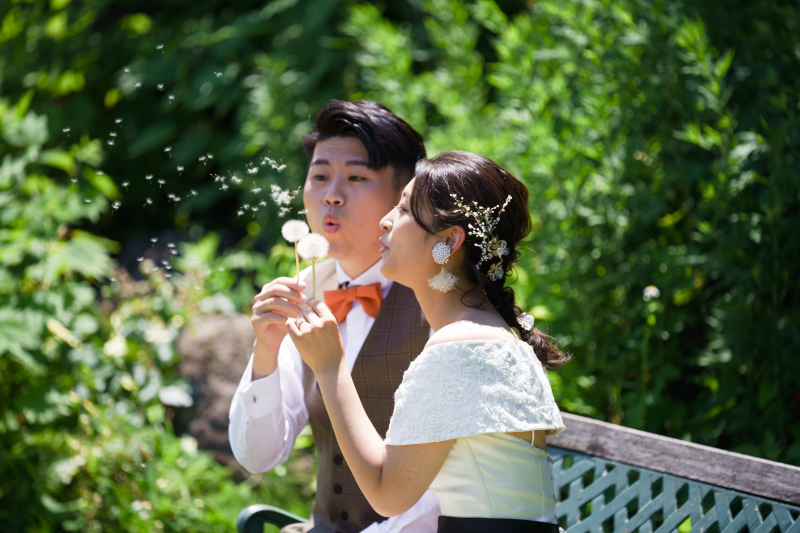 綿毛を　ふーっ！