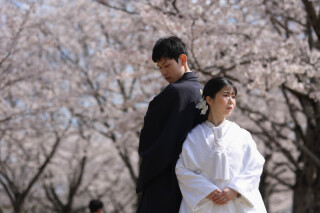 SAKURA location photo…