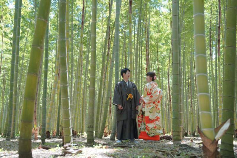 鮮やかな竹林の中で