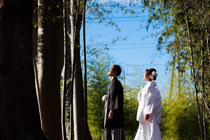 整列したショットも!