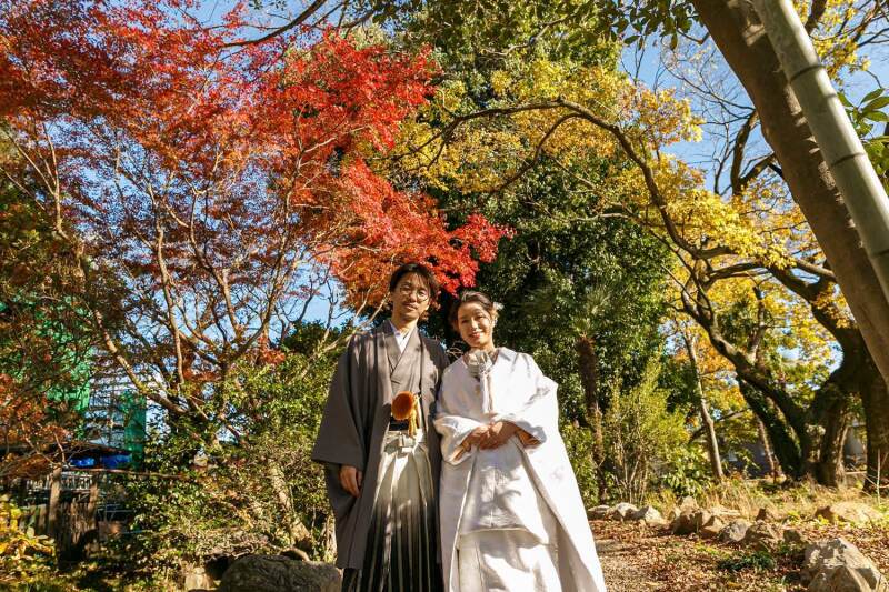 紅葉のグラデーション