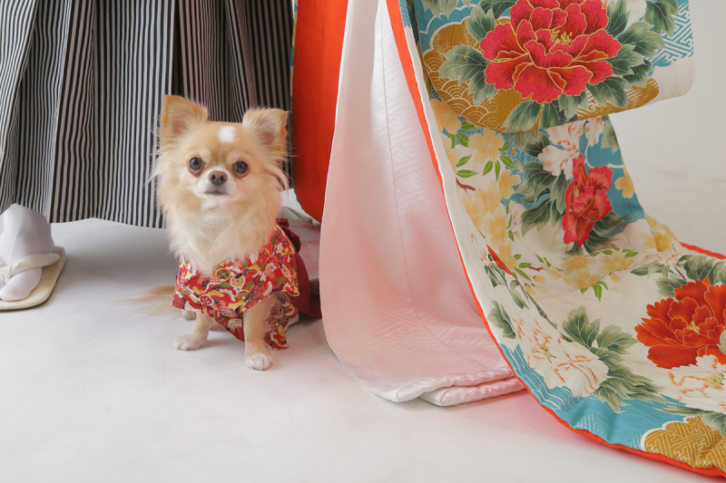 人生伴走型フォトスタジオでふたりの人生を結ぶ写真を