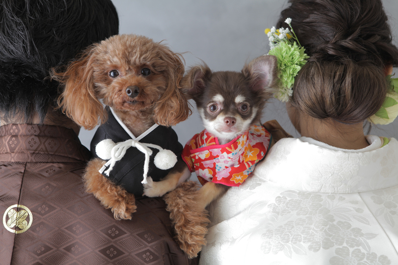 CLAIRE宇都宮今泉店_ペットと一緒に撮影できる