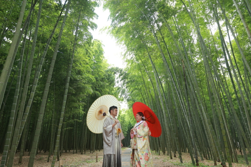 多彩な撮影シーン