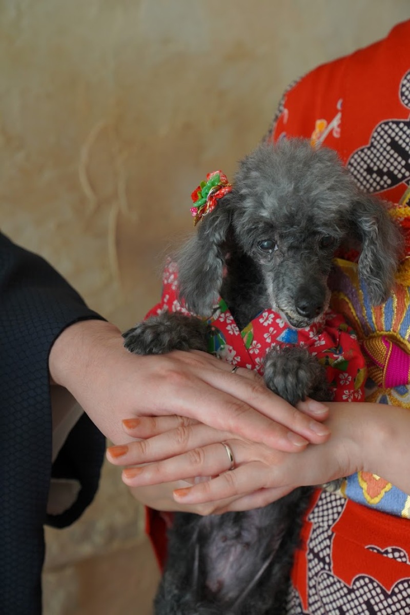 CLAIRE宇都宮今泉店_ペットと一緒に撮影できる