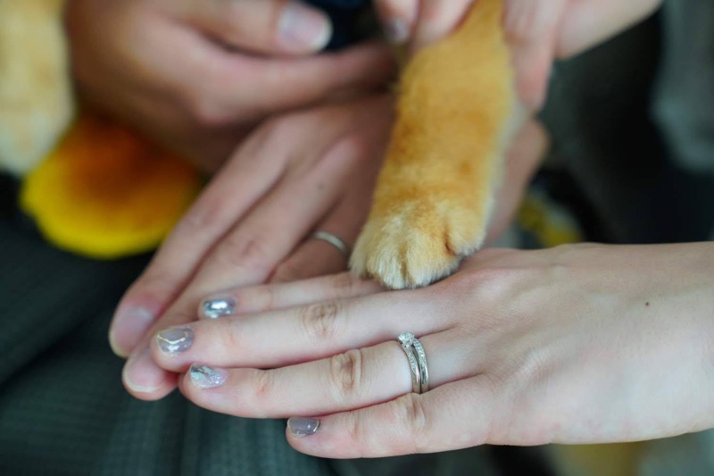 CLAIRE宇都宮今泉店_ペットと一緒に撮影できる