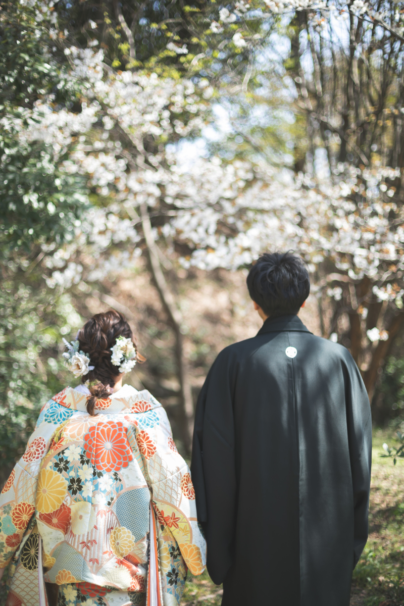 自然あふれる撮影場所