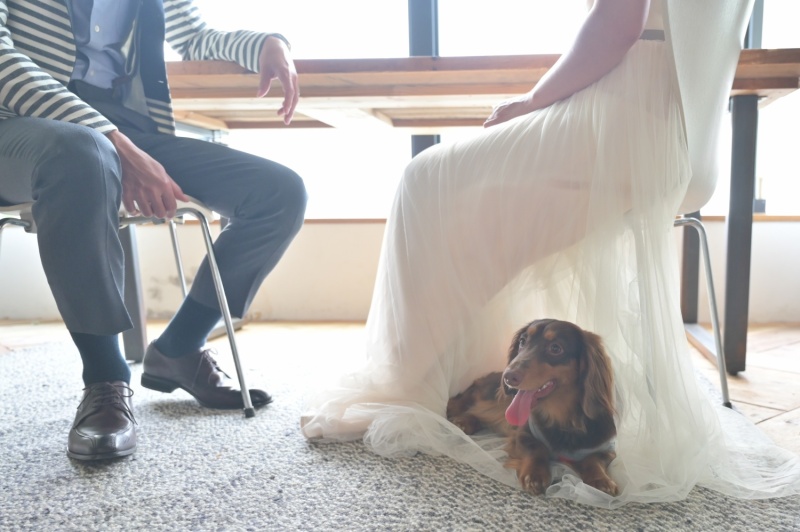 ワンちゃんもリラックス