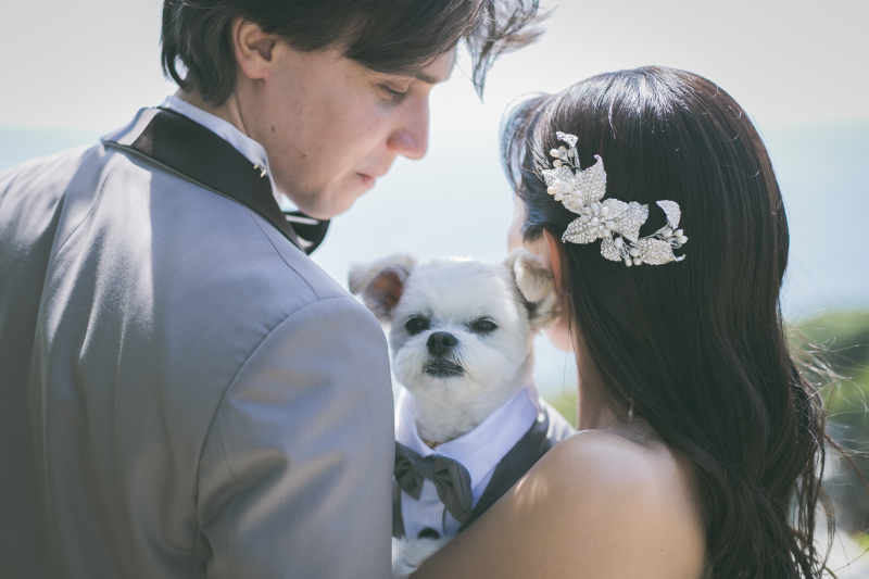 貸切でのんびりと撮影出来る!