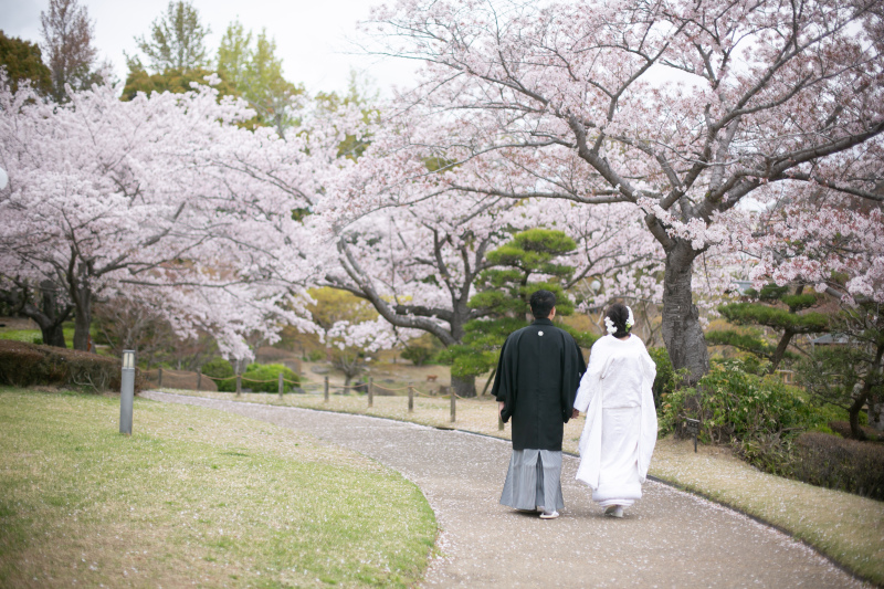 お花見をしながら