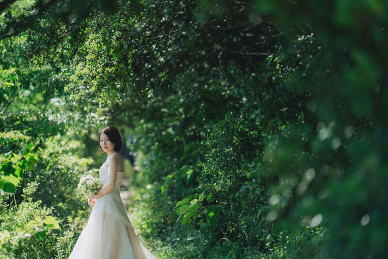 自然豊かな撮影スポット