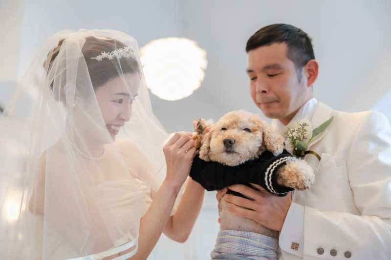 スタンプの準備中~