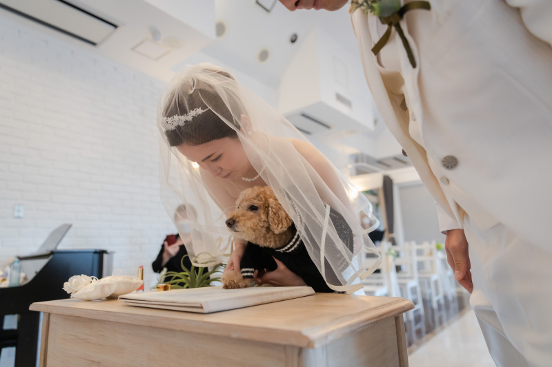 ワンちゃんも承認♡