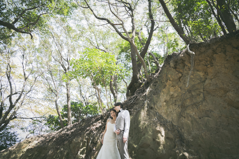 自然の神秘的な雰囲気の中で