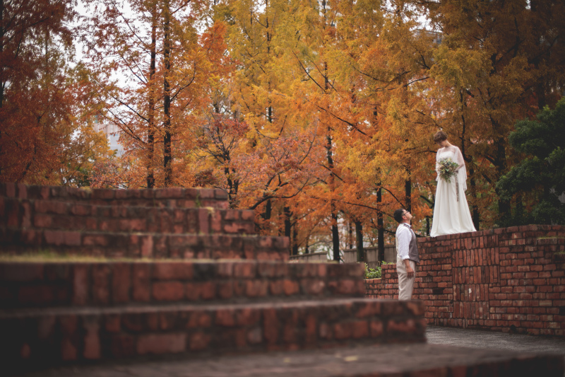 お天気が良ければ…♪