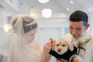 ペット同伴撮影