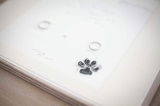 結婚証明書(ワンちゃん用)