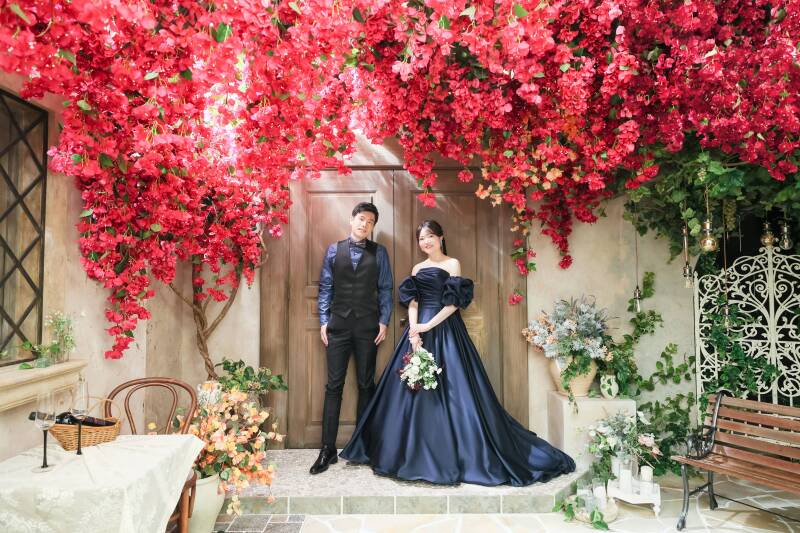 真紅の花々が咲き誇るフォトジェニック