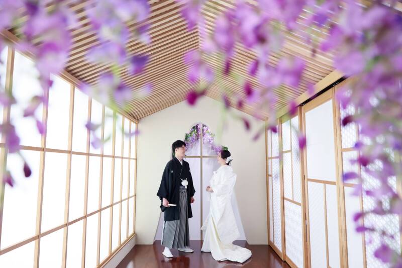 花びら越しに見つめ合う、永遠の約束