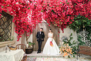 満開のブーゲンビリアに囲まれて