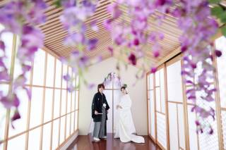 【和モダン撮影】伝統の組子細工と藤の花に包まれる洗練フォト