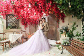 満開のブーゲンビリアと