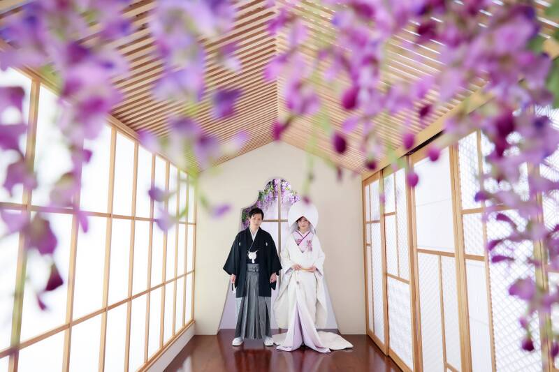 藤の花越しに見る静謐な佇まい