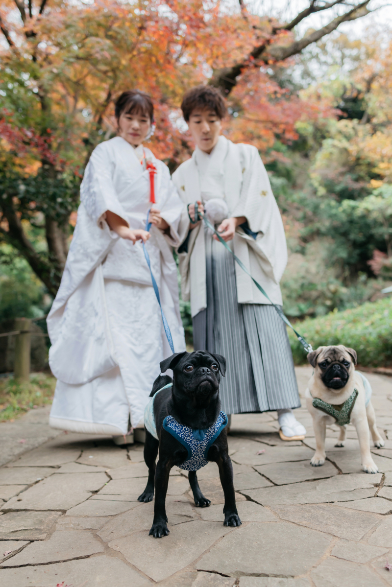 自然を感じるロケーションで愛犬との仲良しショット