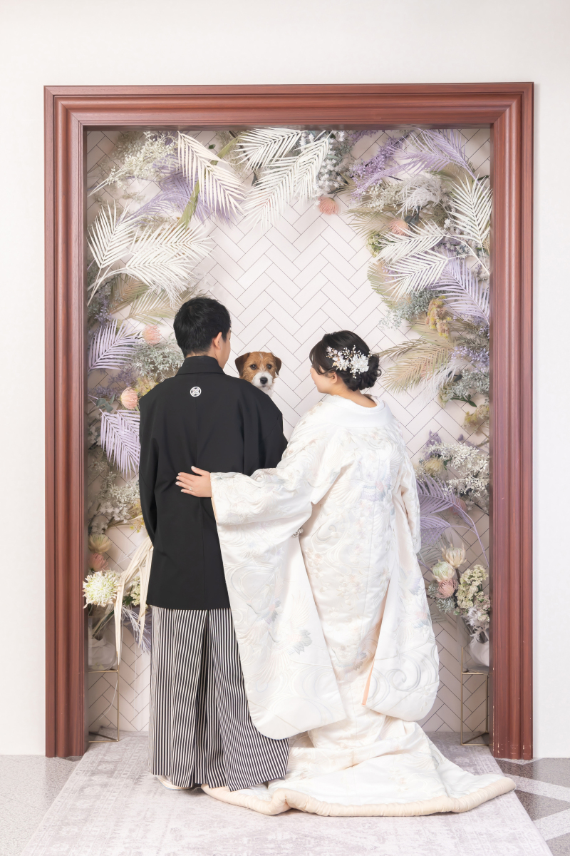 ぴょこんとでたお顔がかわいい一枚❤︎